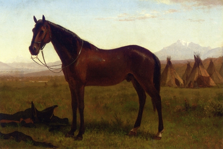 Albert Bierstadt Oil Painting Portrait of a Horse - Click Image to Close